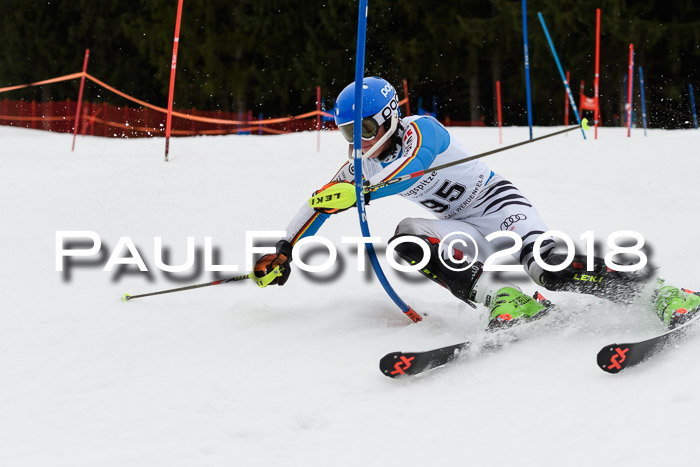 2. BZB CUP SL 2018