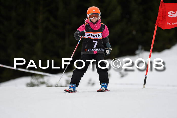 1. Ziener Cup 2018 Werdenfels