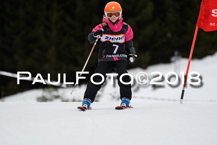 1. Ziener Cup 2018 Werdenfels