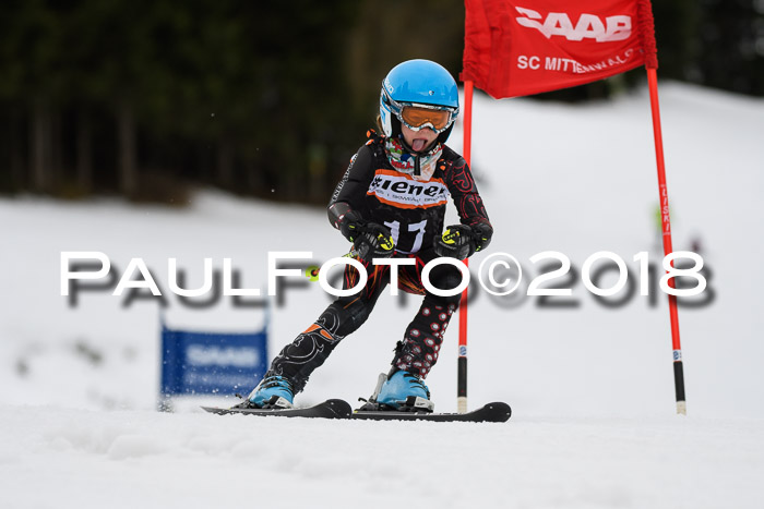 1. Ziener Cup 2018 Werdenfels