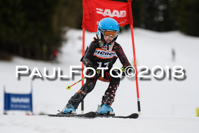 1. Ziener Cup 2018 Werdenfels