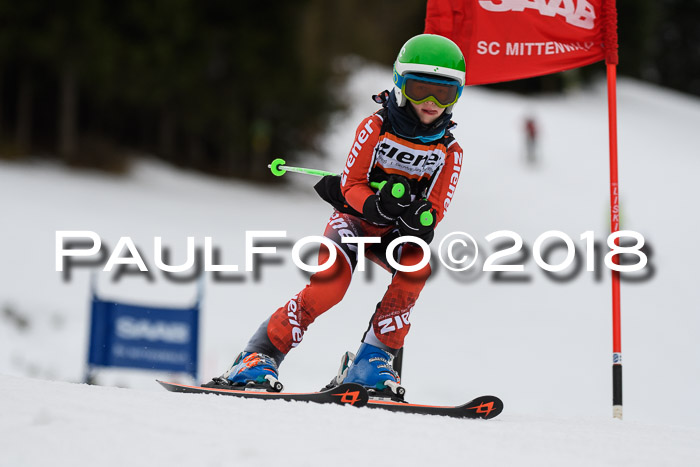 1. Ziener Cup 2018 Werdenfels