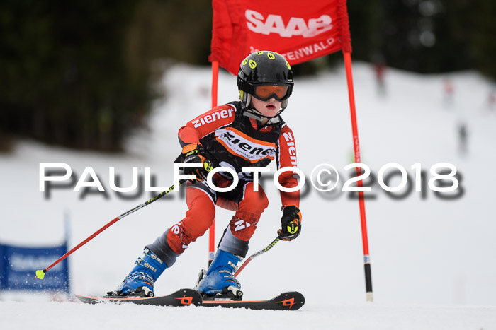 1. Ziener Cup 2018 Werdenfels