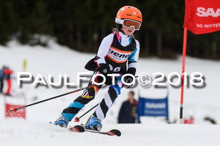 1. Ziener Cup 2018 Werdenfels