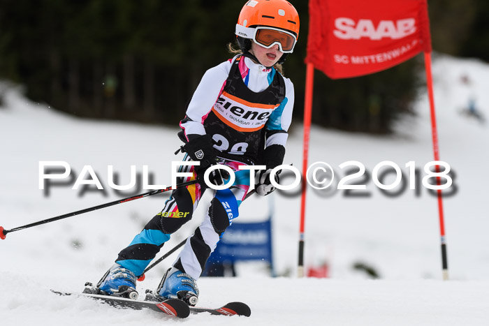 1. Ziener Cup 2018 Werdenfels
