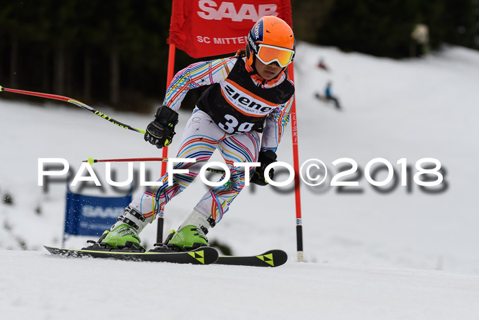1. Ziener Cup 2018 Werdenfels