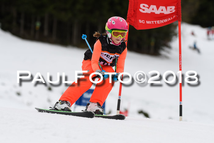 1. Ziener Cup 2018 Werdenfels