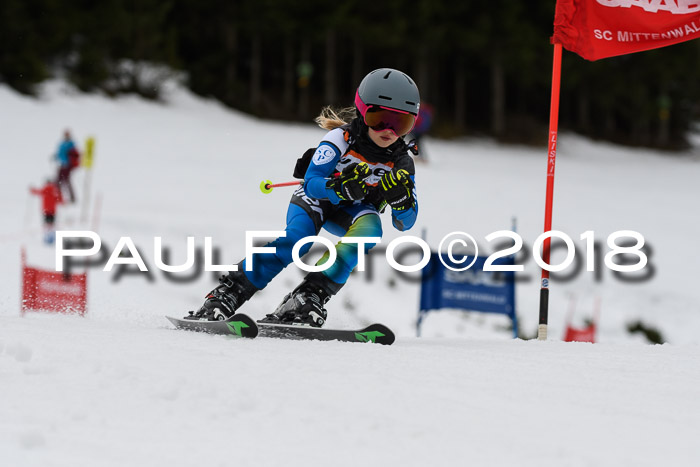 1. Ziener Cup 2018 Werdenfels
