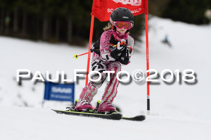 1. Ziener Cup 2018 Werdenfels
