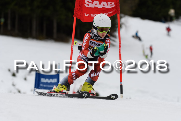 1. Ziener Cup 2018 Werdenfels
