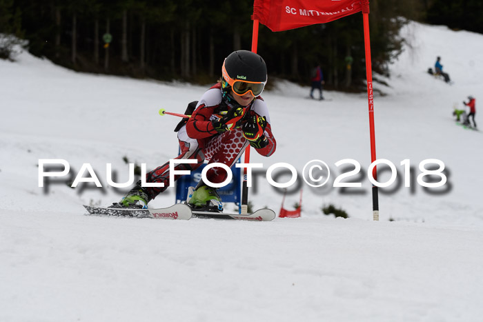 1. Ziener Cup 2018 Werdenfels