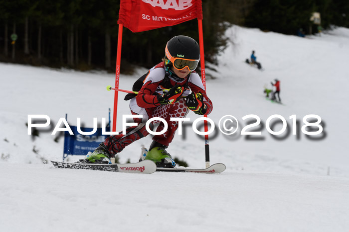 1. Ziener Cup 2018 Werdenfels