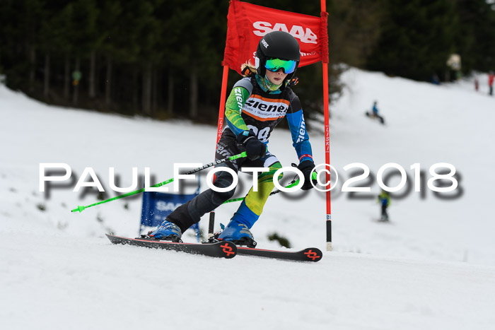 1. Ziener Cup 2018 Werdenfels