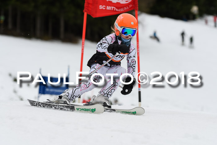 1. Ziener Cup 2018 Werdenfels