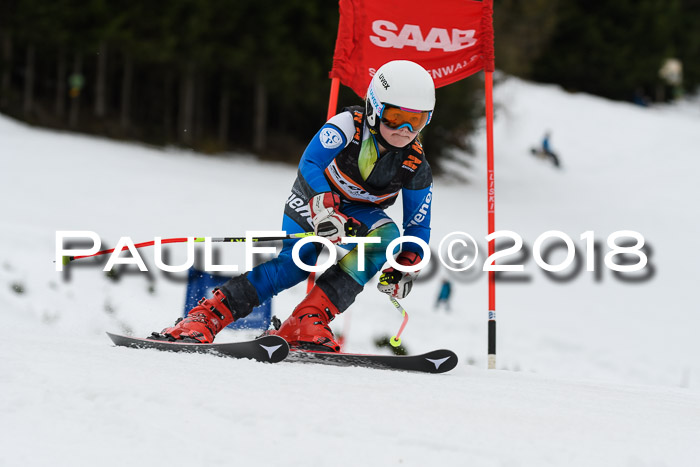 1. Ziener Cup 2018 Werdenfels