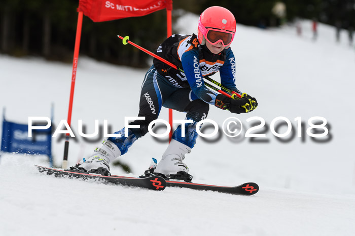 1. Ziener Cup 2018 Werdenfels