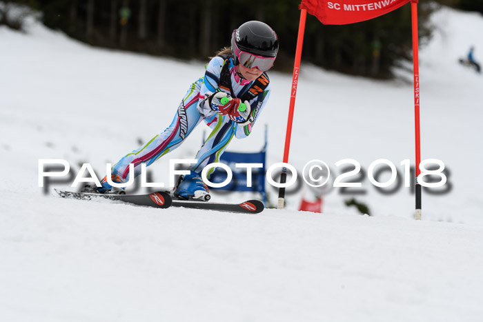 1. Ziener Cup 2018 Werdenfels