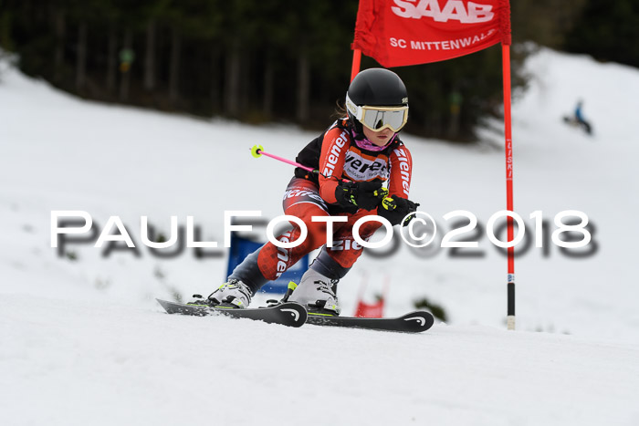 1. Ziener Cup 2018 Werdenfels