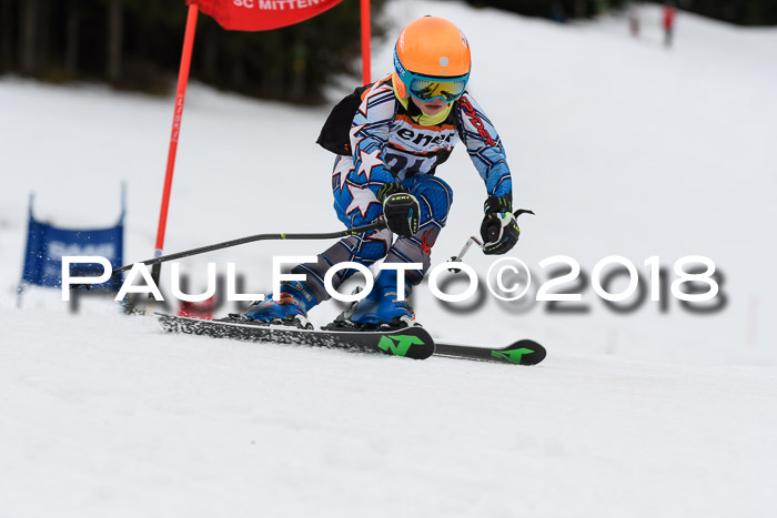 1. Ziener Cup 2018 Werdenfels
