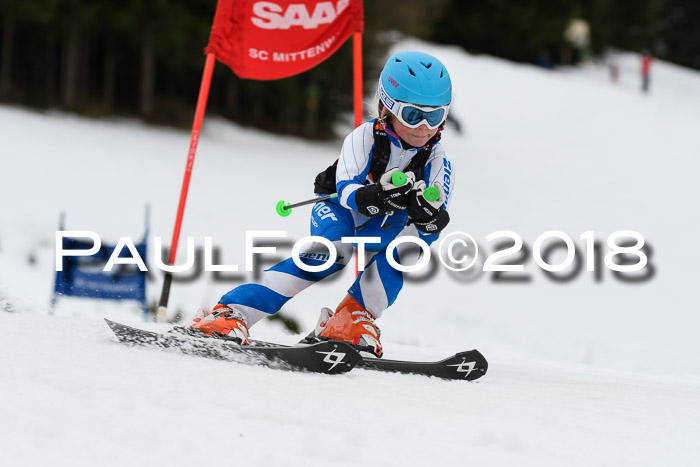 1. Ziener Cup 2018 Werdenfels