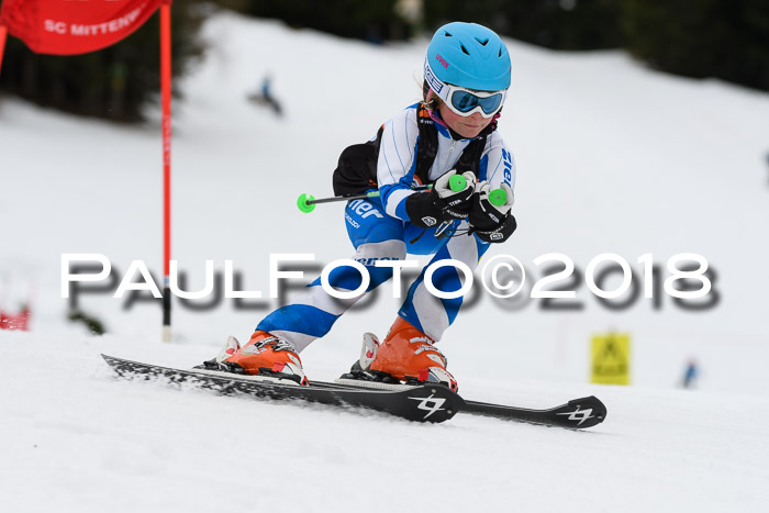 1. Ziener Cup 2018 Werdenfels