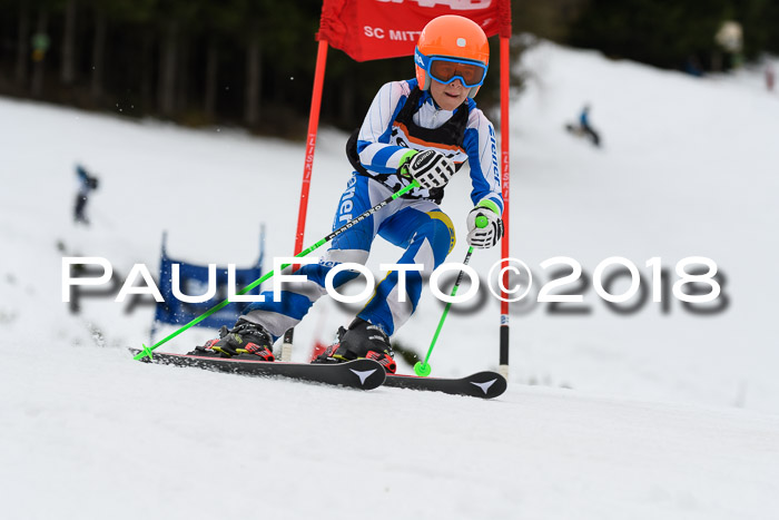 1. Ziener Cup 2018 Werdenfels
