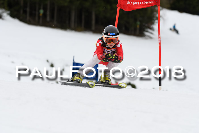1. Ziener Cup 2018 Werdenfels