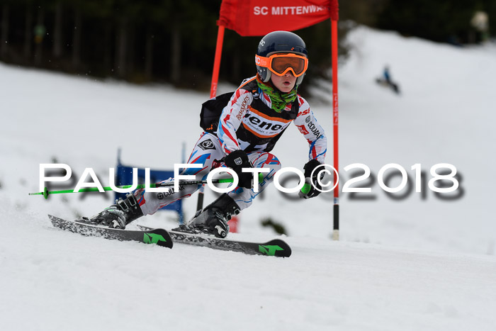 1. Ziener Cup 2018 Werdenfels