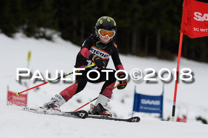 1. Ziener Cup 2018 Werdenfels
