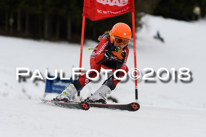 1. Ziener Cup 2018 Werdenfels