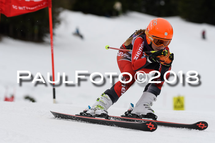 1. Ziener Cup 2018 Werdenfels