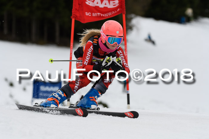 1. Ziener Cup 2018 Werdenfels