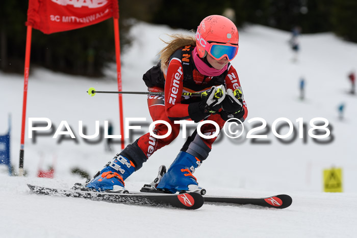 1. Ziener Cup 2018 Werdenfels