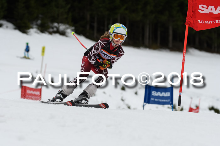 1. Ziener Cup 2018 Werdenfels