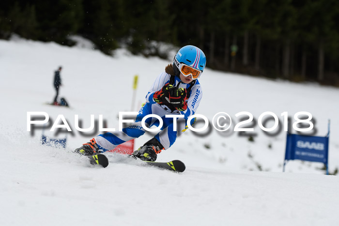 1. Ziener Cup 2018 Werdenfels