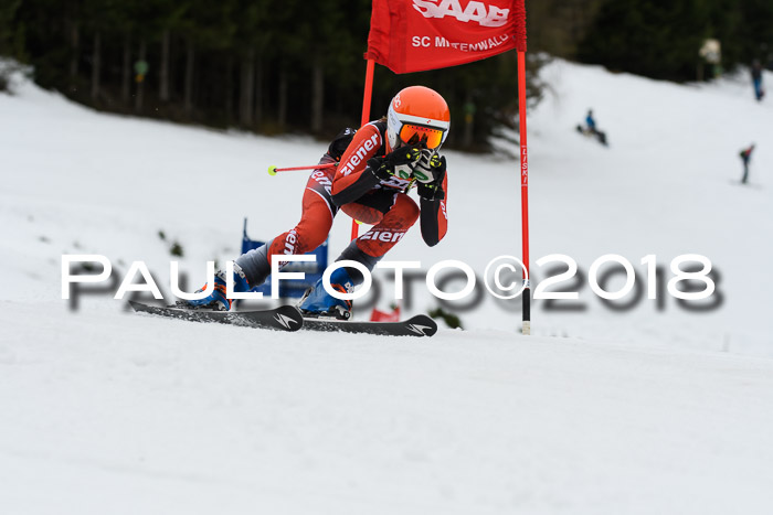 1. Ziener Cup 2018 Werdenfels