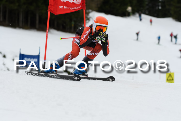 1. Ziener Cup 2018 Werdenfels