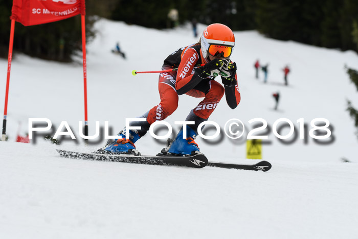 1. Ziener Cup 2018 Werdenfels