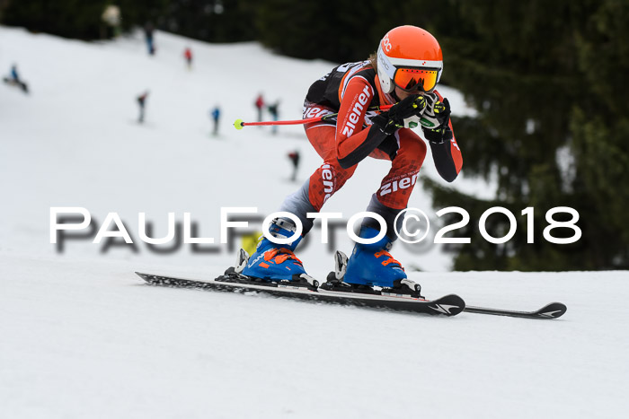 1. Ziener Cup 2018 Werdenfels