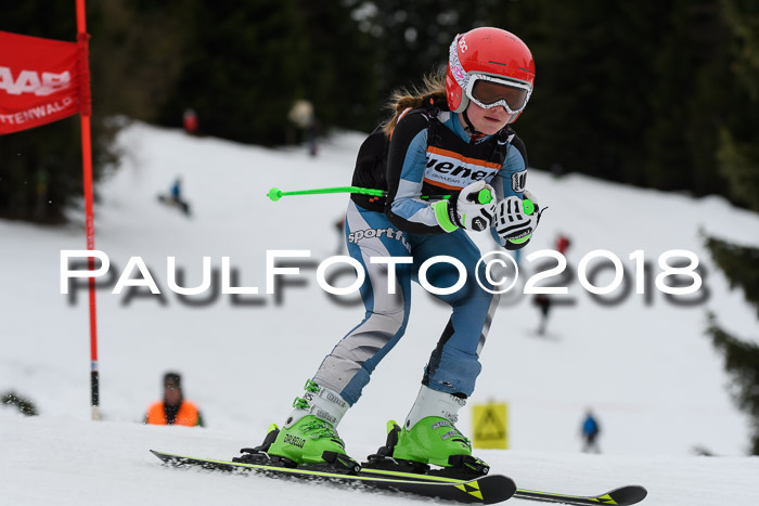 1. Ziener Cup 2018 Werdenfels