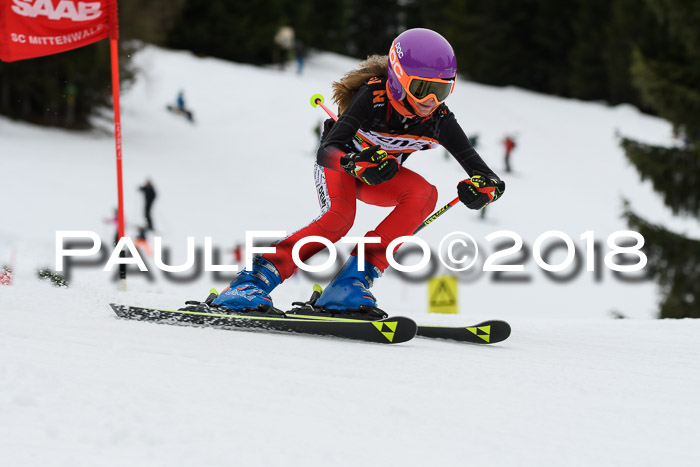 1. Ziener Cup 2018 Werdenfels