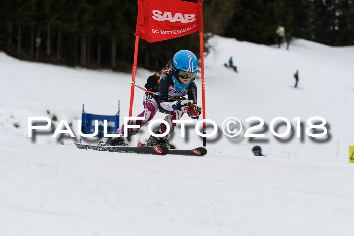 1. Ziener Cup 2018 Werdenfels