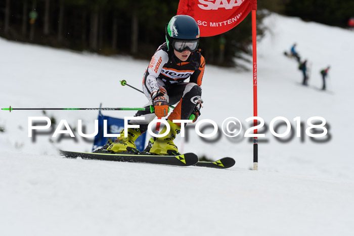 1. Ziener Cup 2018 Werdenfels