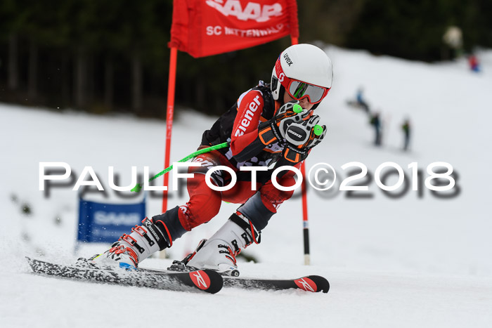 1. Ziener Cup 2018 Werdenfels