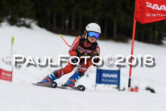 1. Ziener Cup 2018 Werdenfels