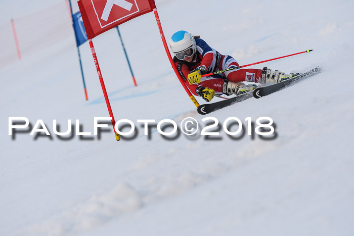 Int. FIS Rennen Damen, RS, Maria Alm 09.01.2018