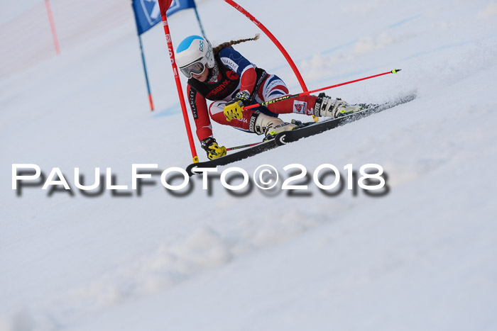 Int. FIS Rennen Damen, RS, Maria Alm 09.01.2018