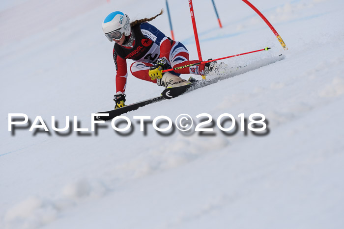 Int. FIS Rennen Damen, RS, Maria Alm 09.01.2018