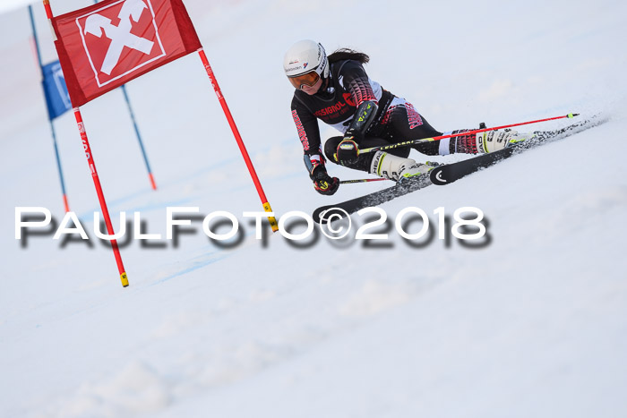 Int. FIS Rennen Damen, RS, Maria Alm 09.01.2018