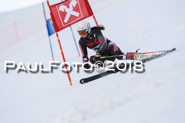 Int. FIS Rennen Damen, RS, Maria Alm 09.01.2018